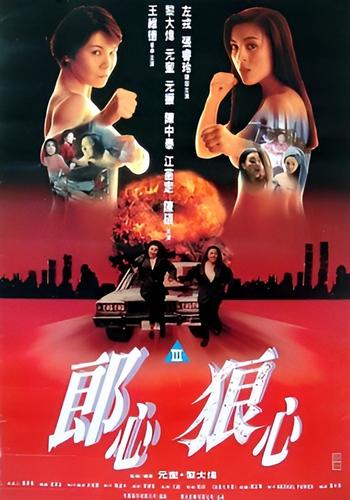 Women on the Run (1993)